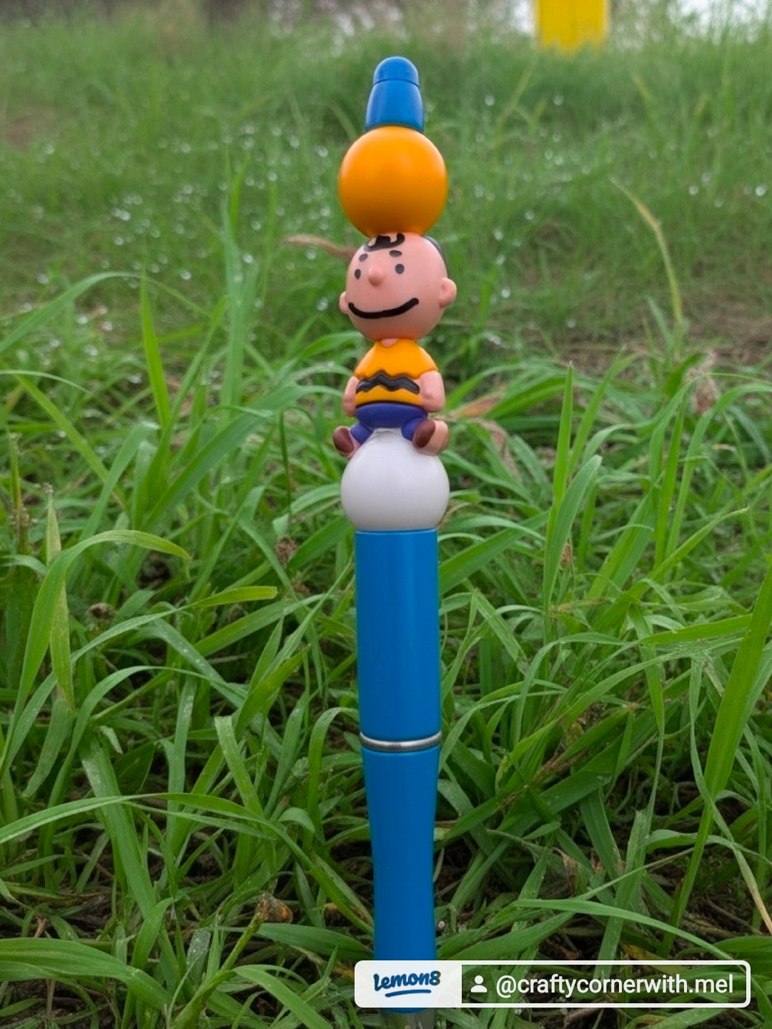 Some of the items you might get.