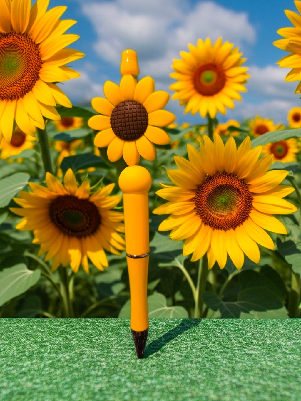 Some of the items you might get.